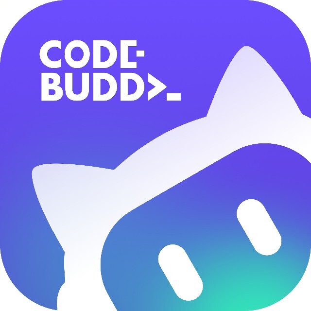 CodeBuddy